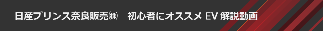 初心者にオススメEV解説動画